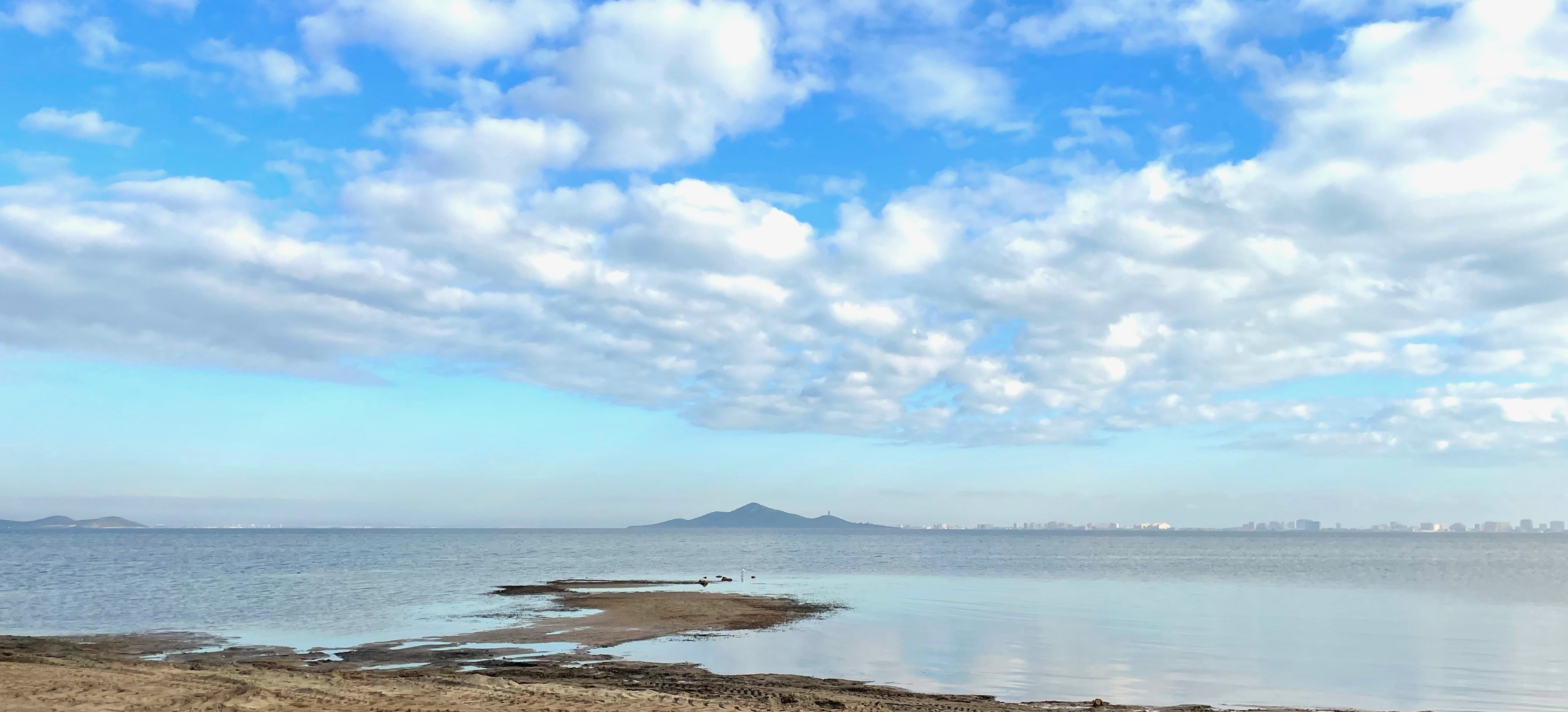 Algarikon: Valorización de las algas acumuladas en las orillas del Mar Menor como resultado de su eutrofización